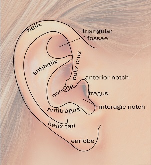 Ear Examination - Oxford Medical Education